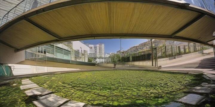 Laowa 8-15mm F2.8 Fisheye Lens Review Update