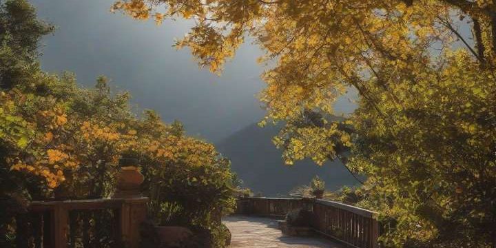 Enhancing Image Quality on a Budget